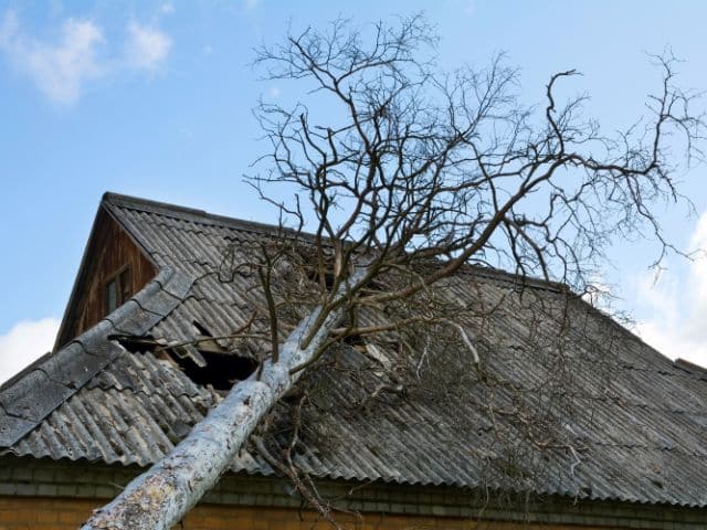 roof damaged by fallen tree