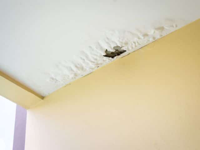 stagnant water on roof causes leak in ceiling