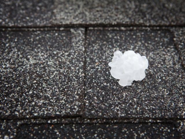 piece of hail on an asphalt roof